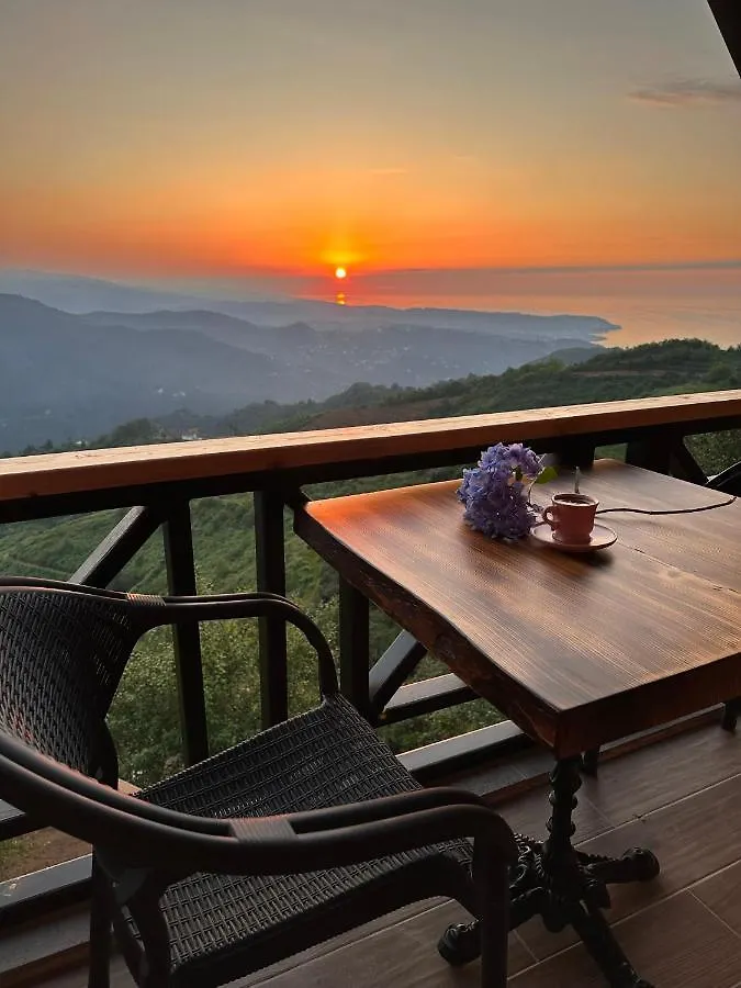 Vira Tas Konak Trabzon